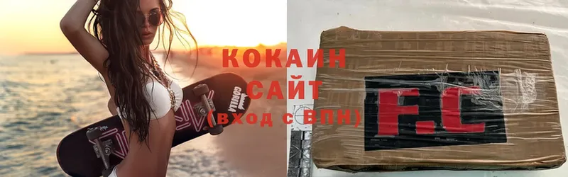 COCAIN Fish Scale  купить закладку  Дубна 